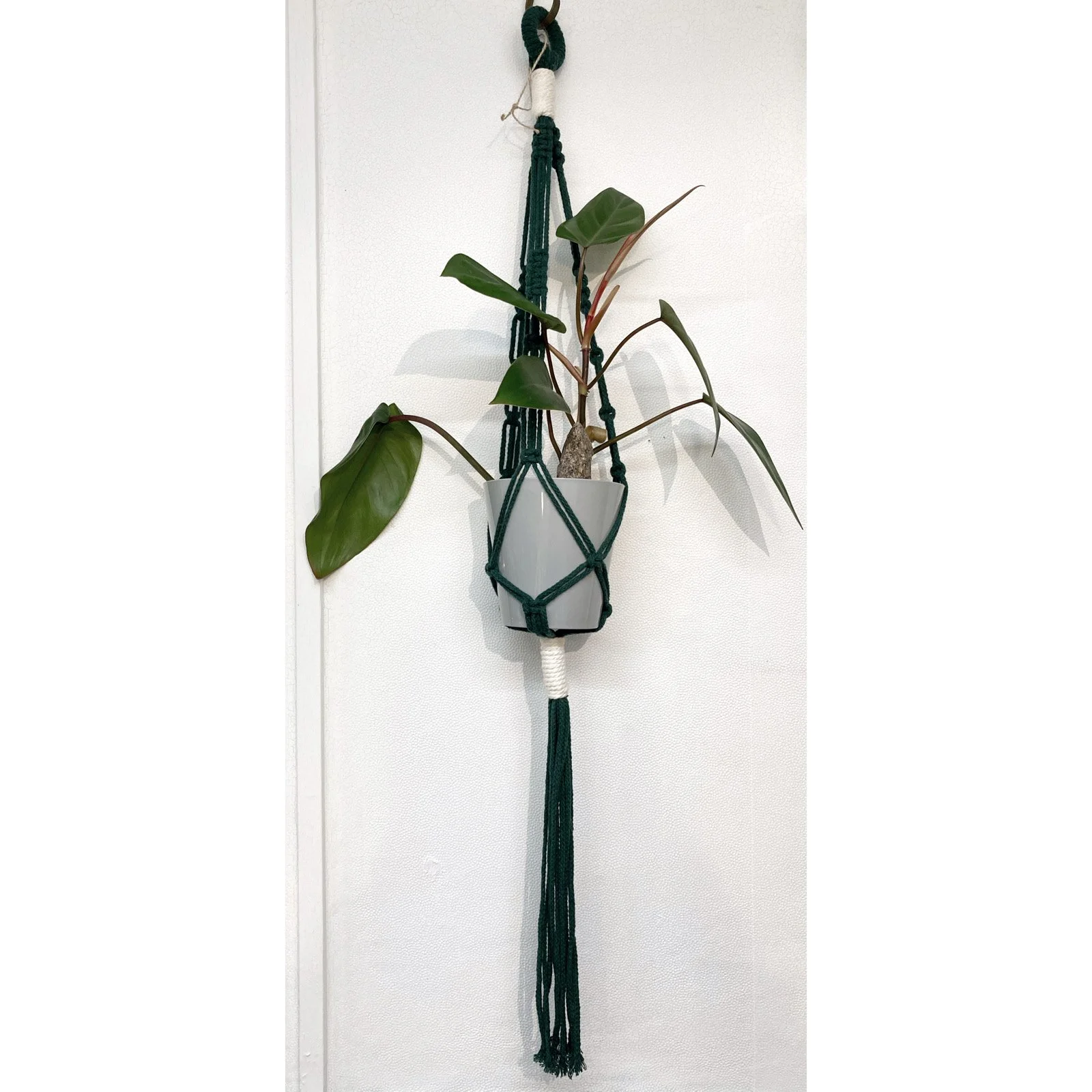 Whitagram-Image 331.JPG