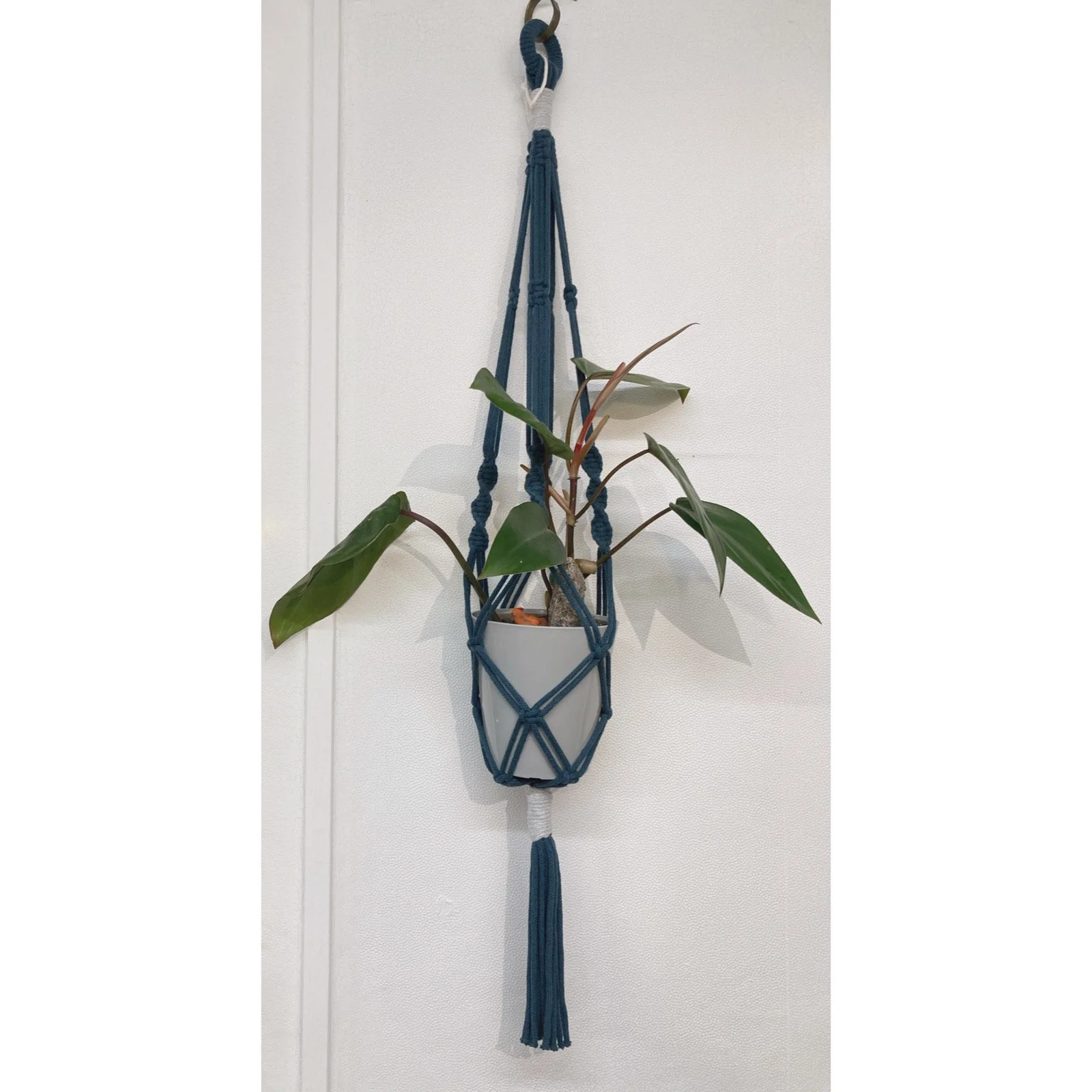 Whitagram-Image 330.JPG