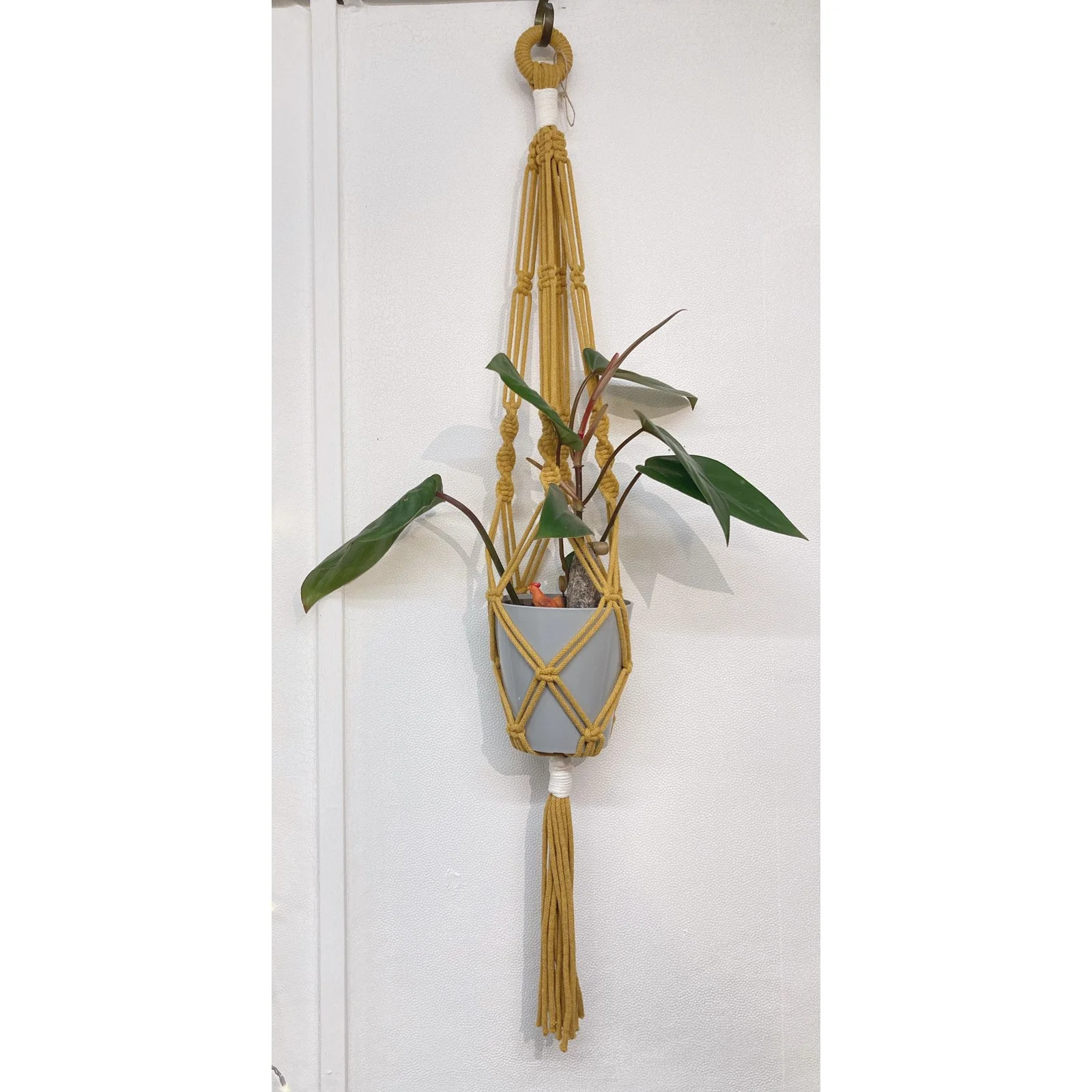 Whitagram-Image 329.JPG