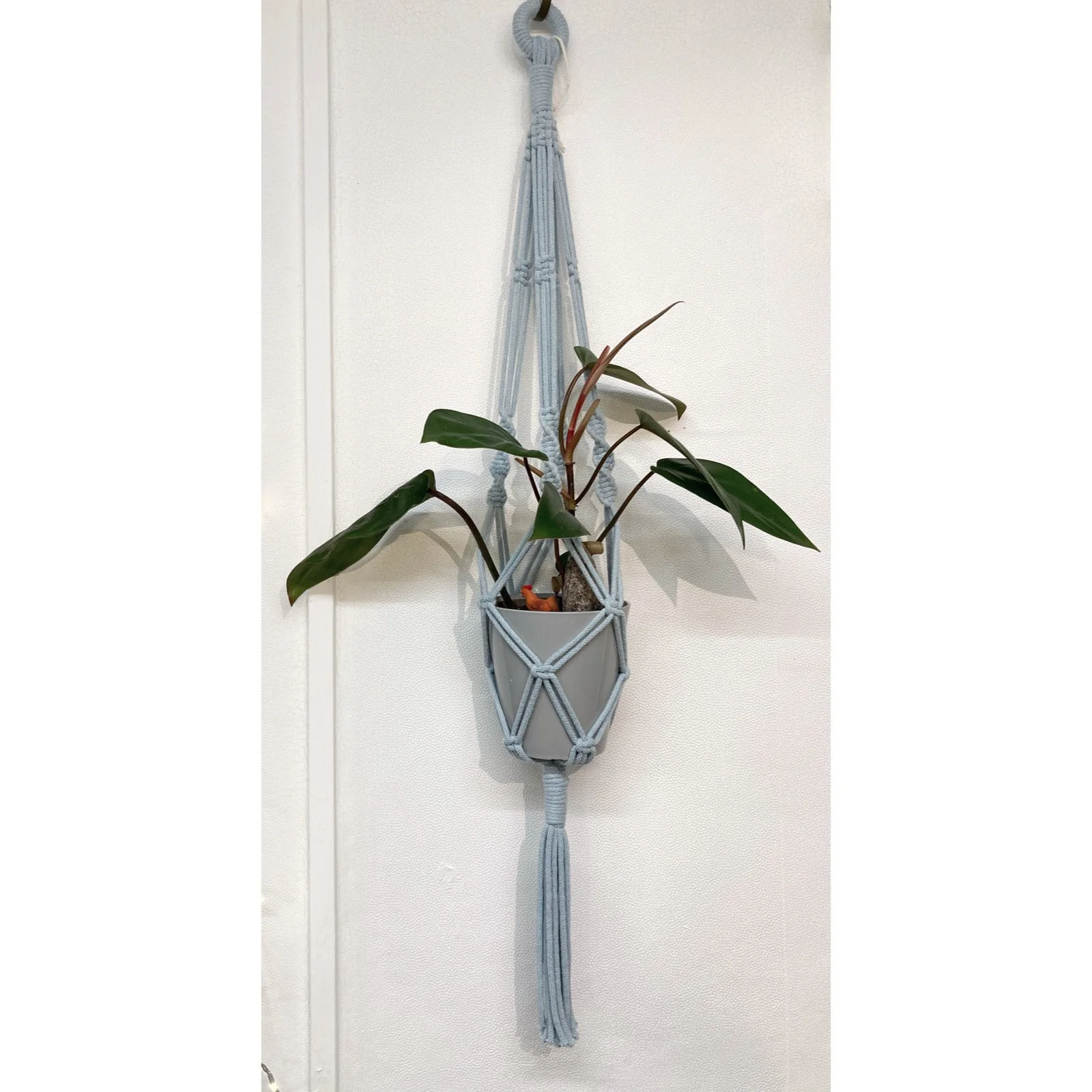 Whitagram-Image 328.JPG