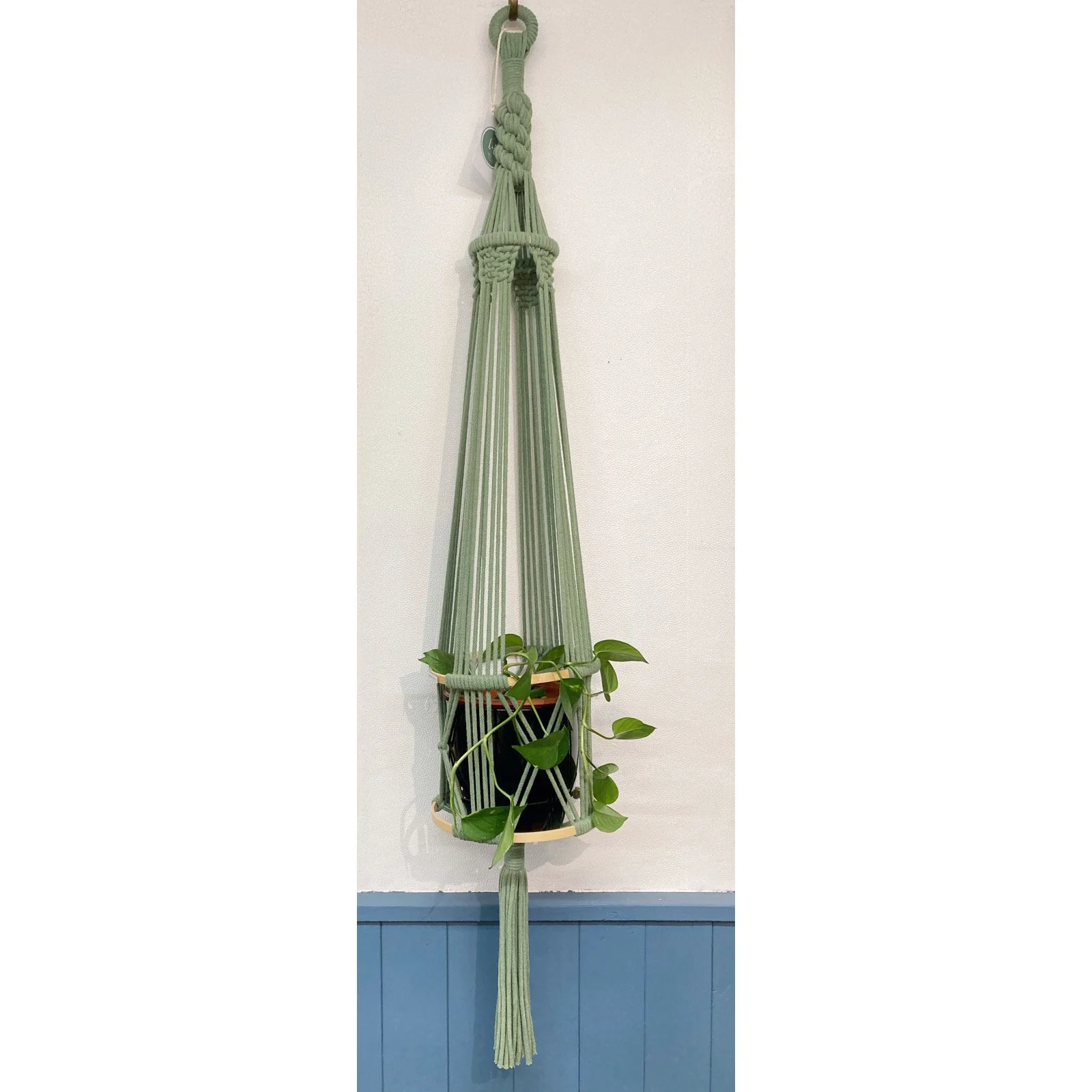 Whitagram-Image 312.JPG