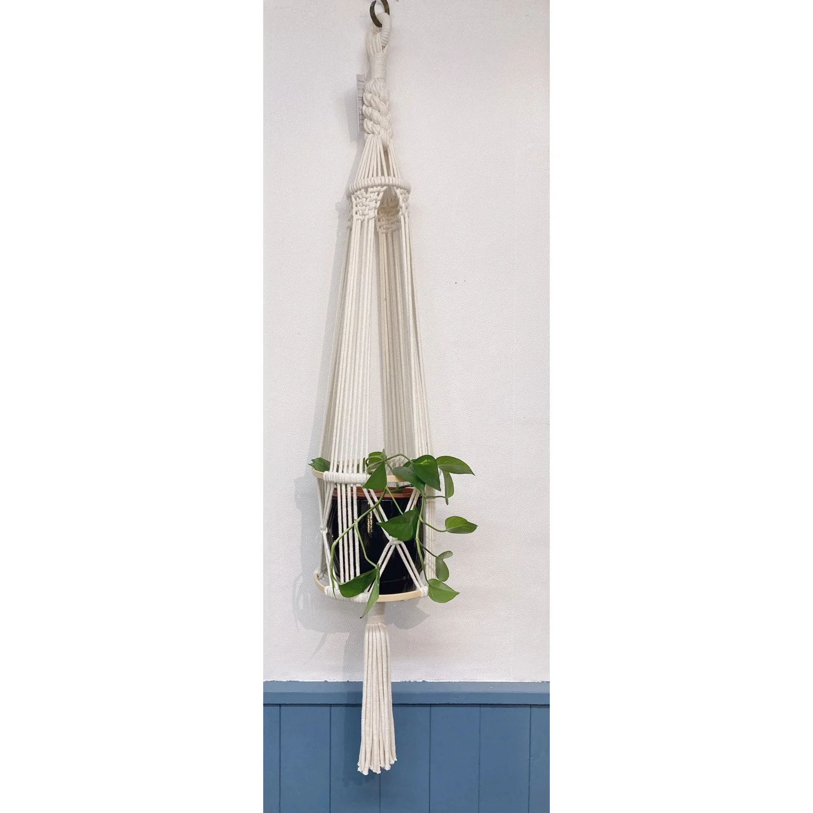 Whitagram-Image 313.JPG