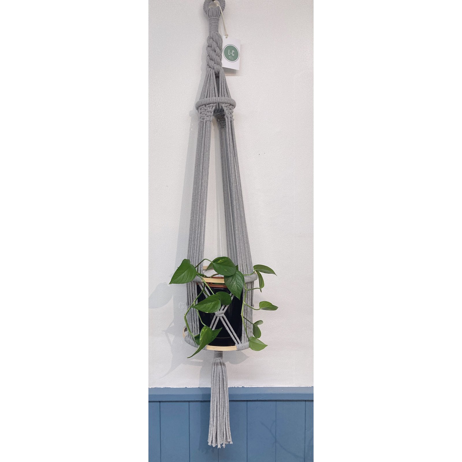 Whitagram-Image 314.JPG