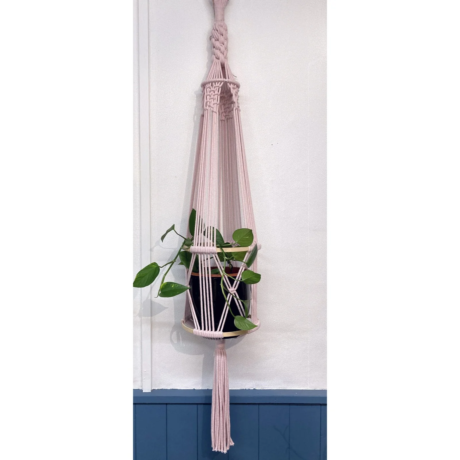 Whitagram-Image 315.JPG