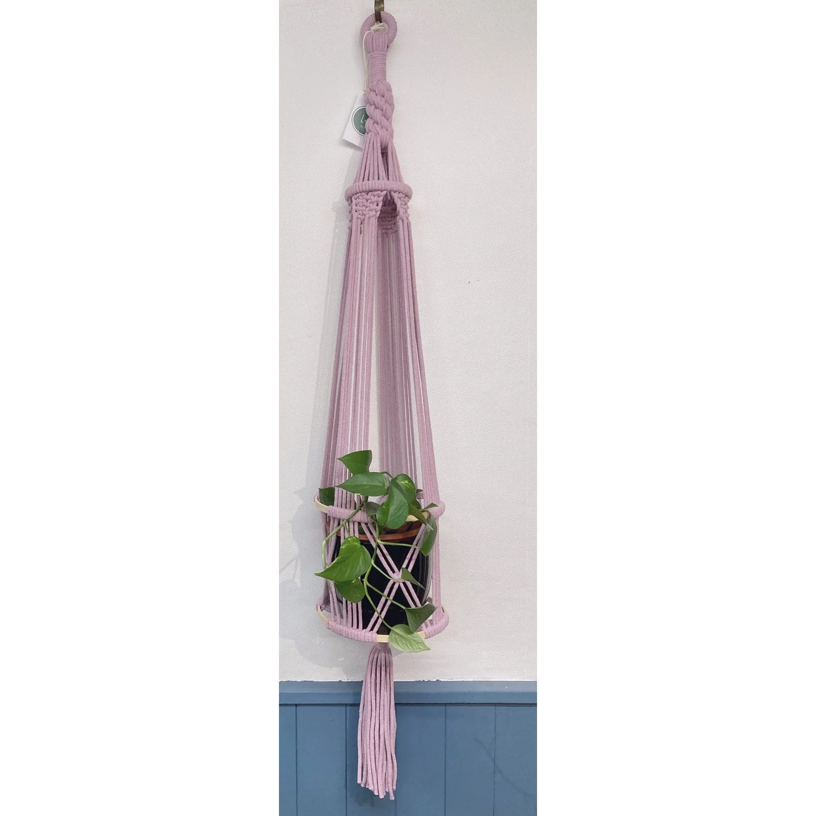 Whitagram-Image 316.JPG