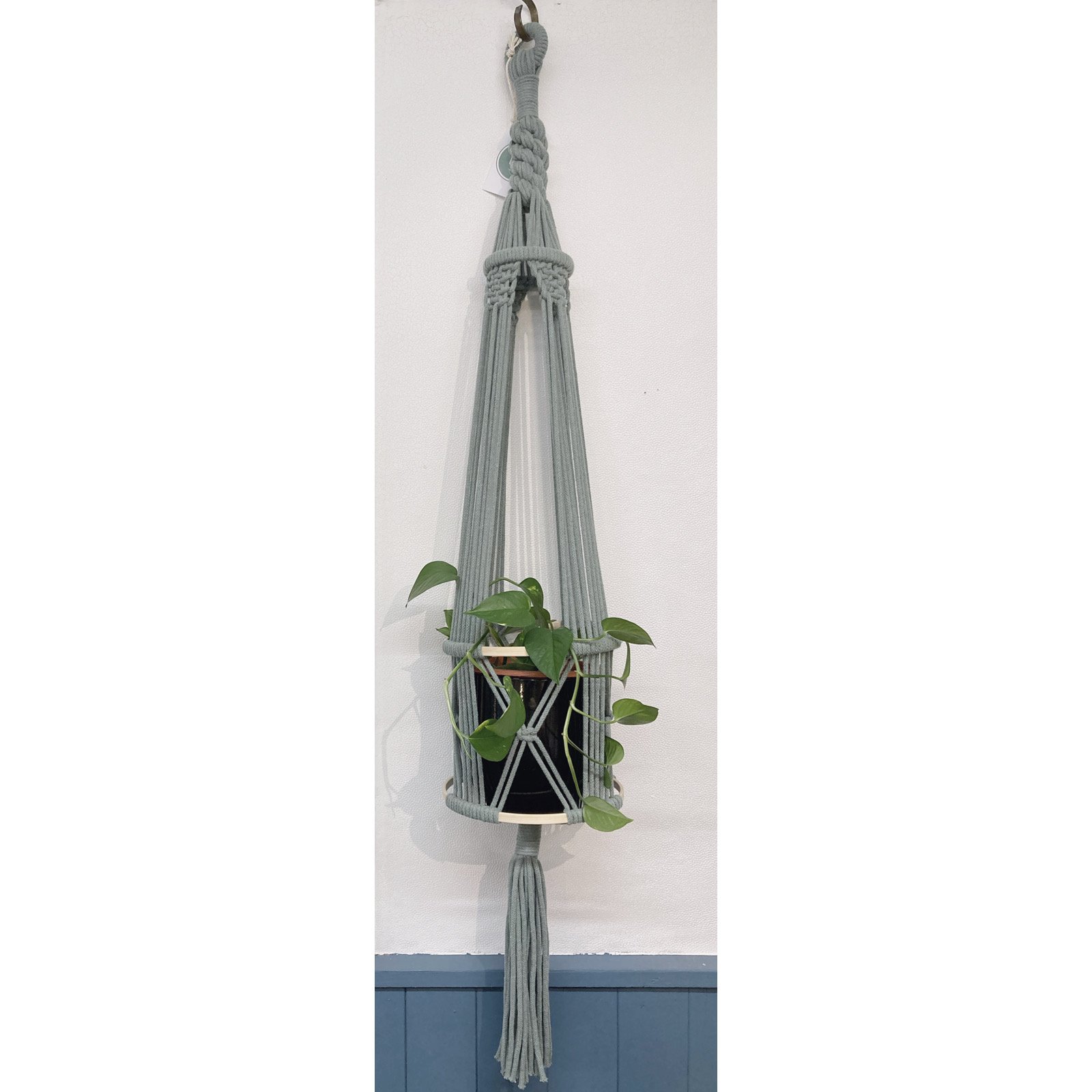 Whitagram-Image 317.JPG