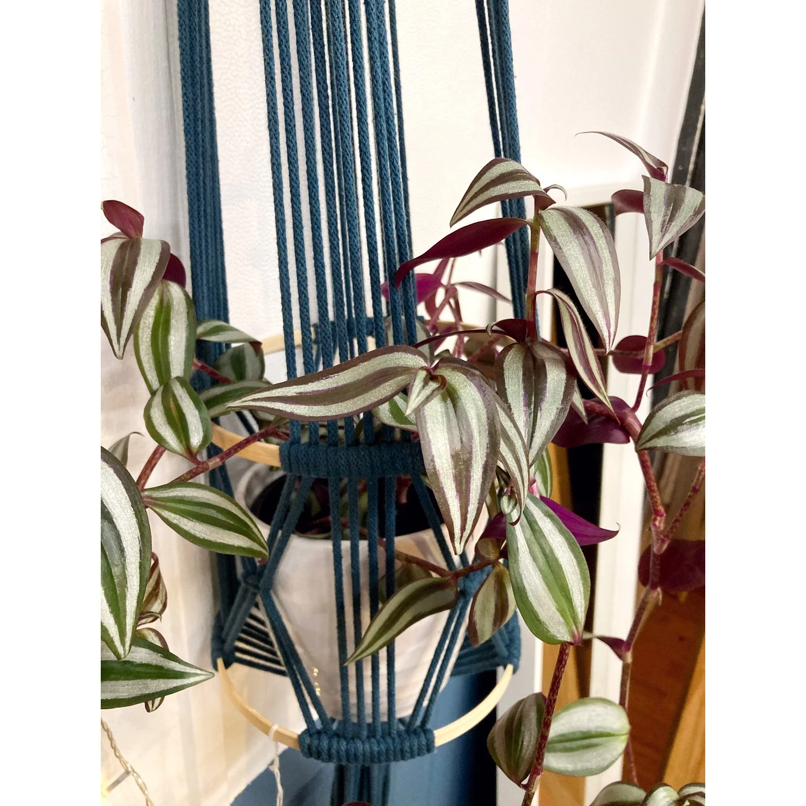 Whitagram-Image 431.JPG