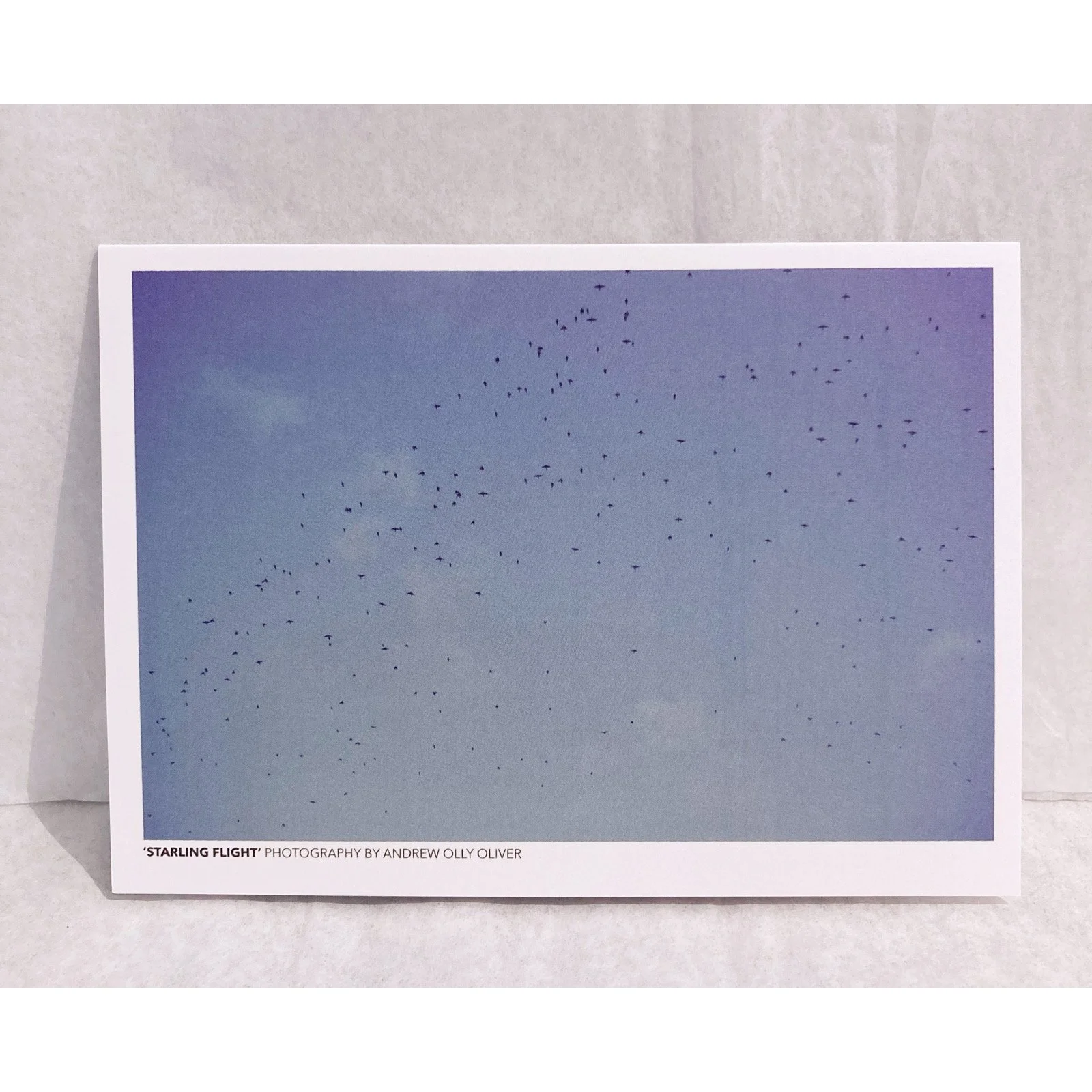 Whitagram-Image 343.JPG