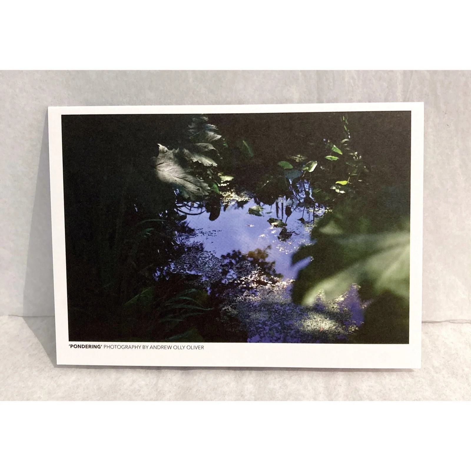 Whitagram-Image 353.JPG