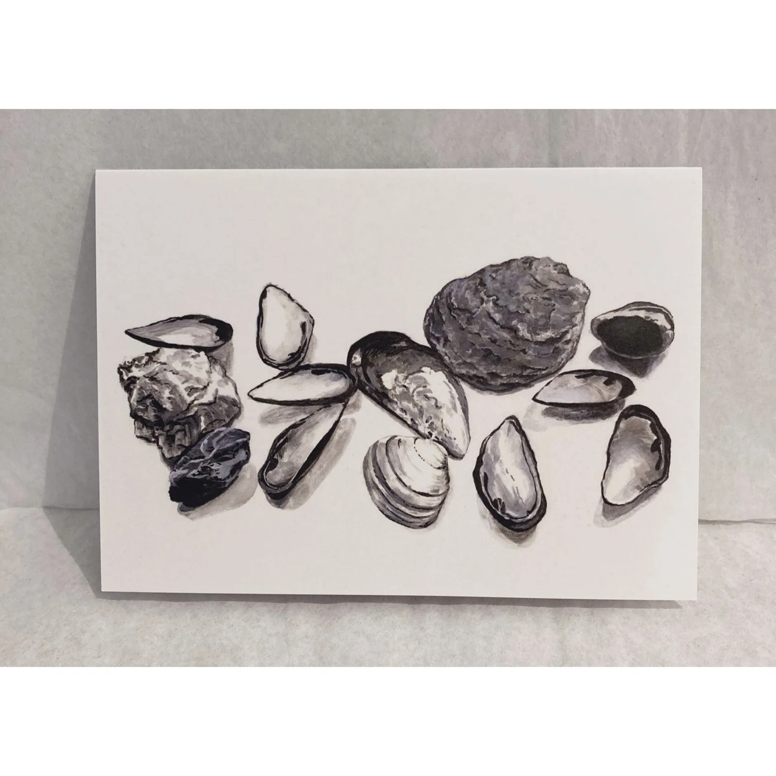 Whitagram-Image 351.JPG