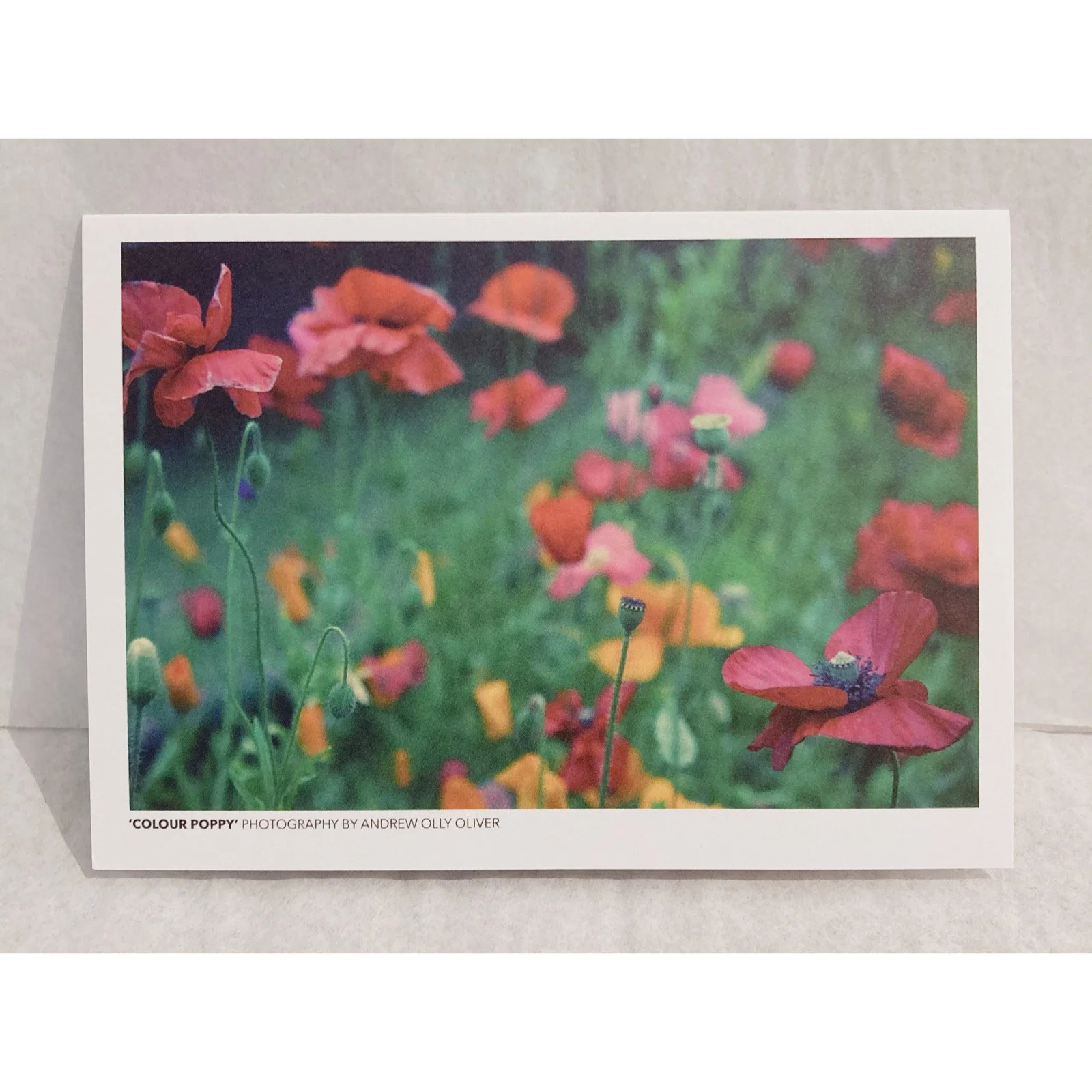 Whitagram-Image 350.JPG