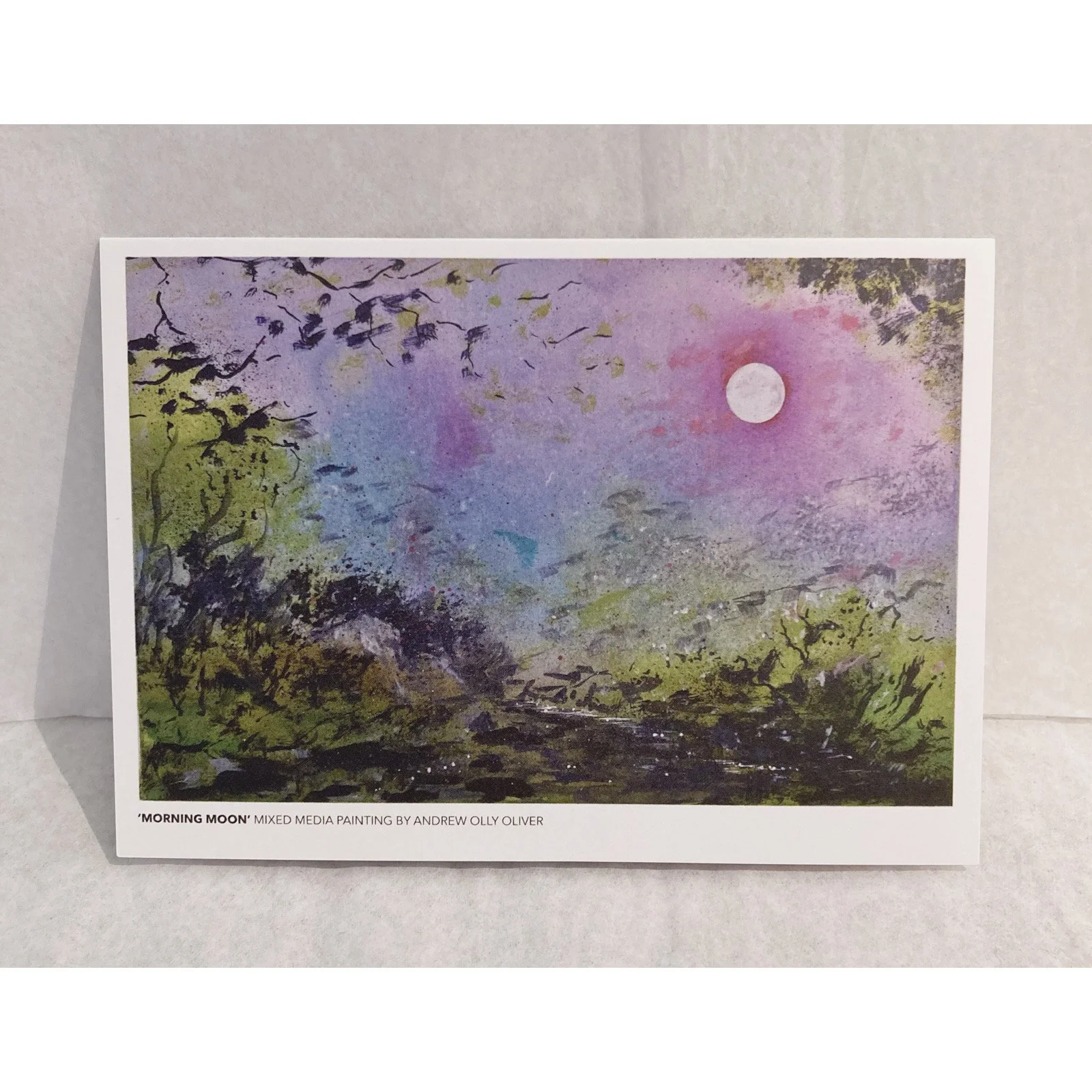 Whitagram-Image 356.JPG