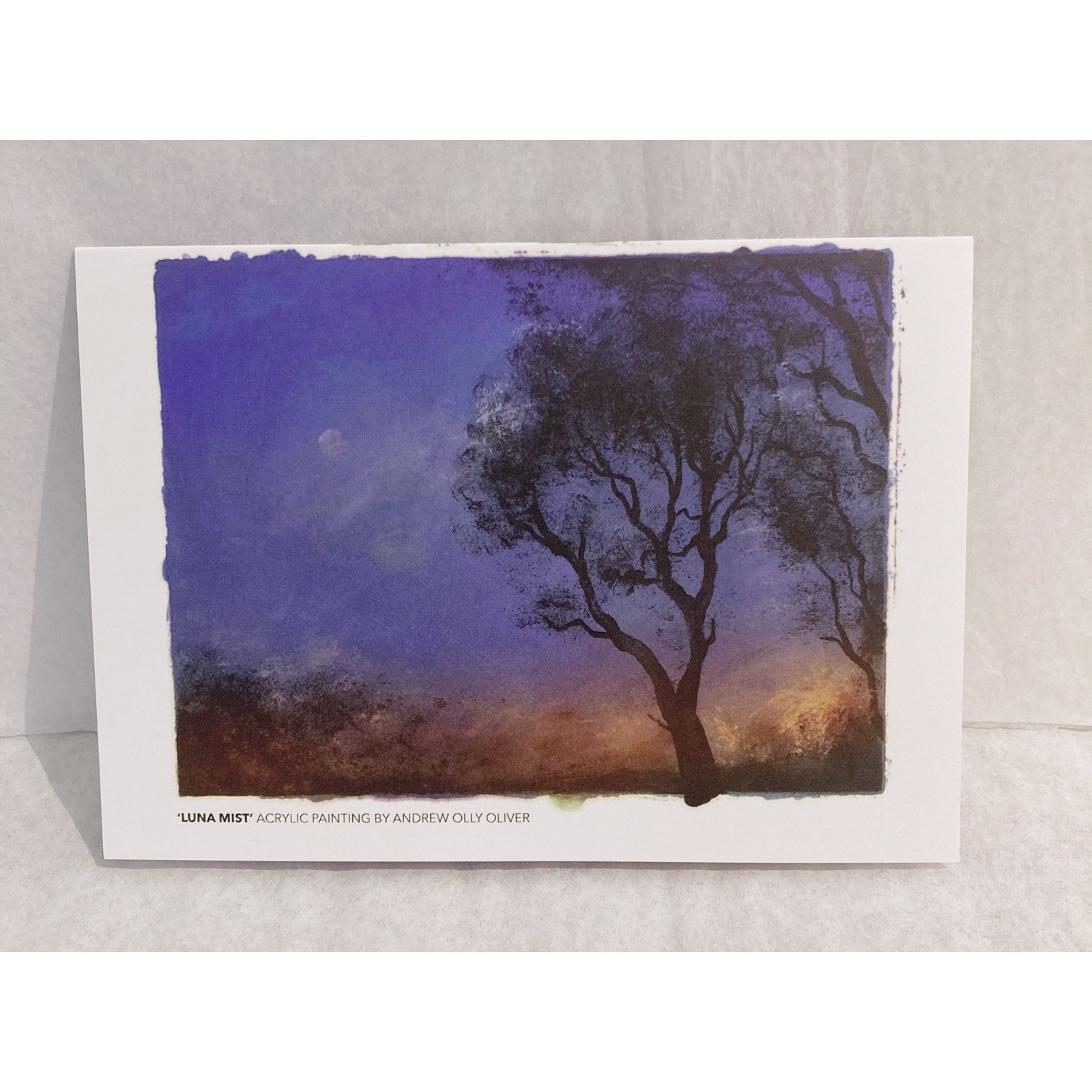 Whitagram-Image 357.JPG