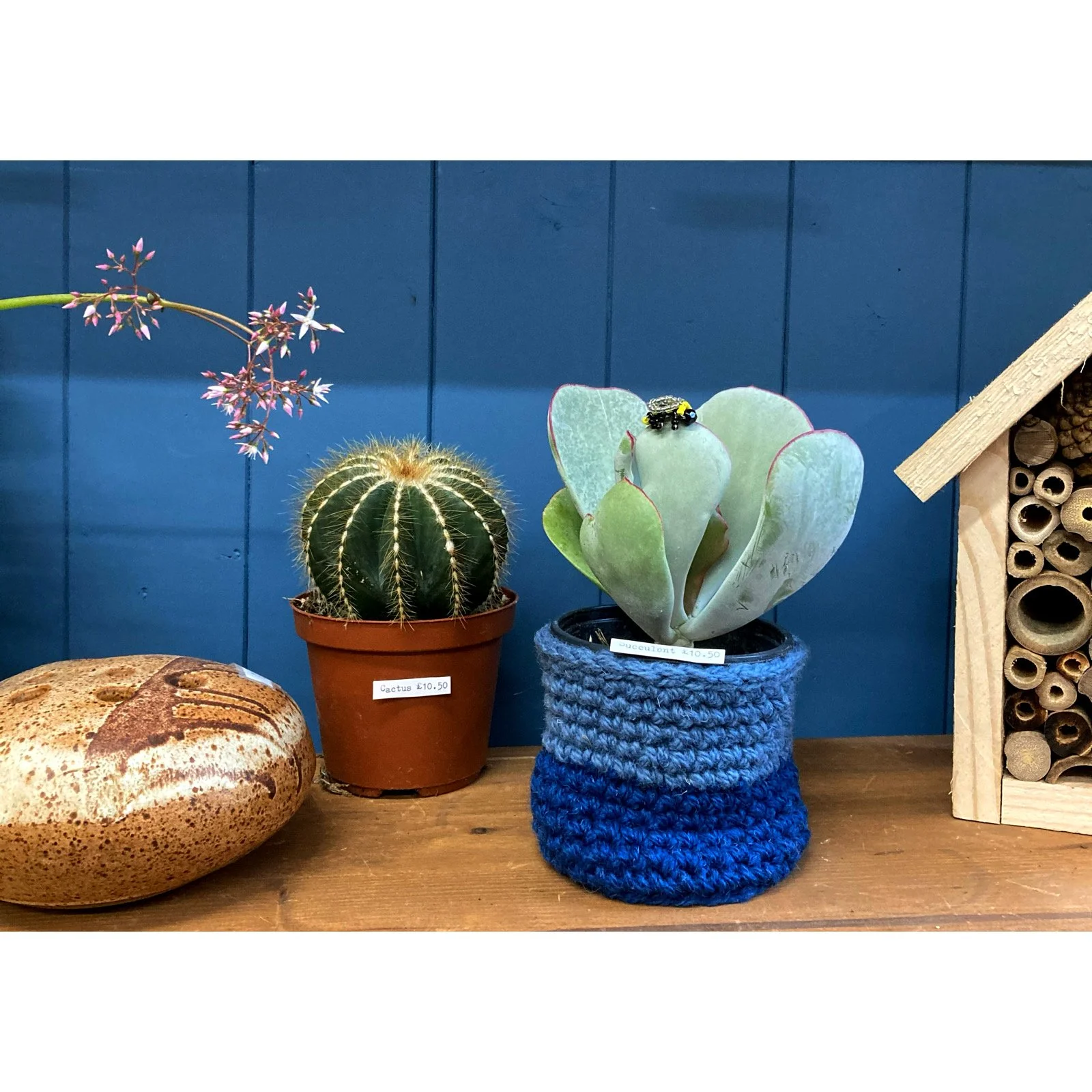 Whitagram-Image 442.JPG