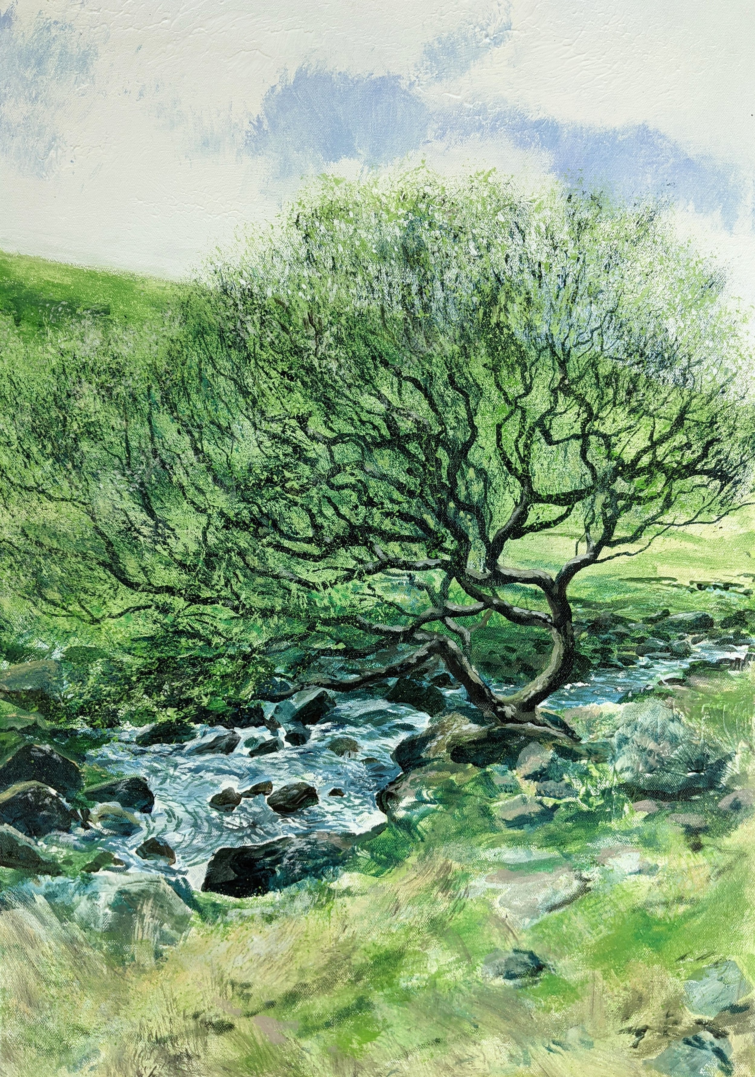 'Boulder's Branch' by Andrew Olly Oliver acrylic on Canvas jpg copy.jpg