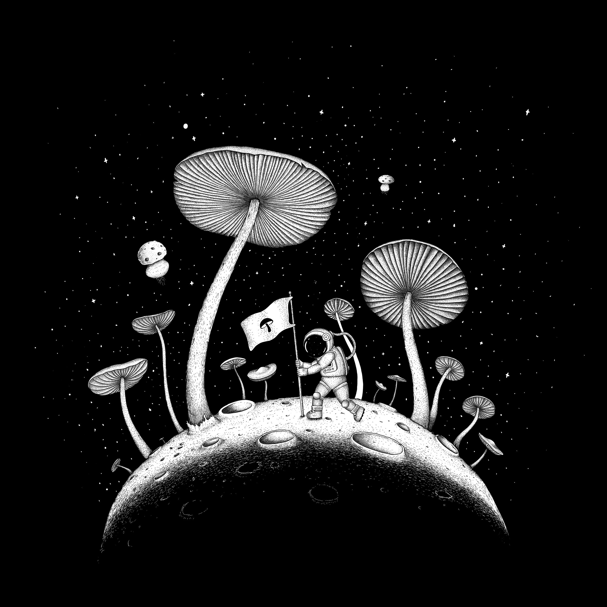 Moon Mushroom T-Shirt Illustration