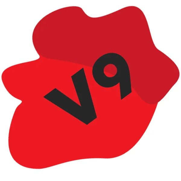 V9.jpg