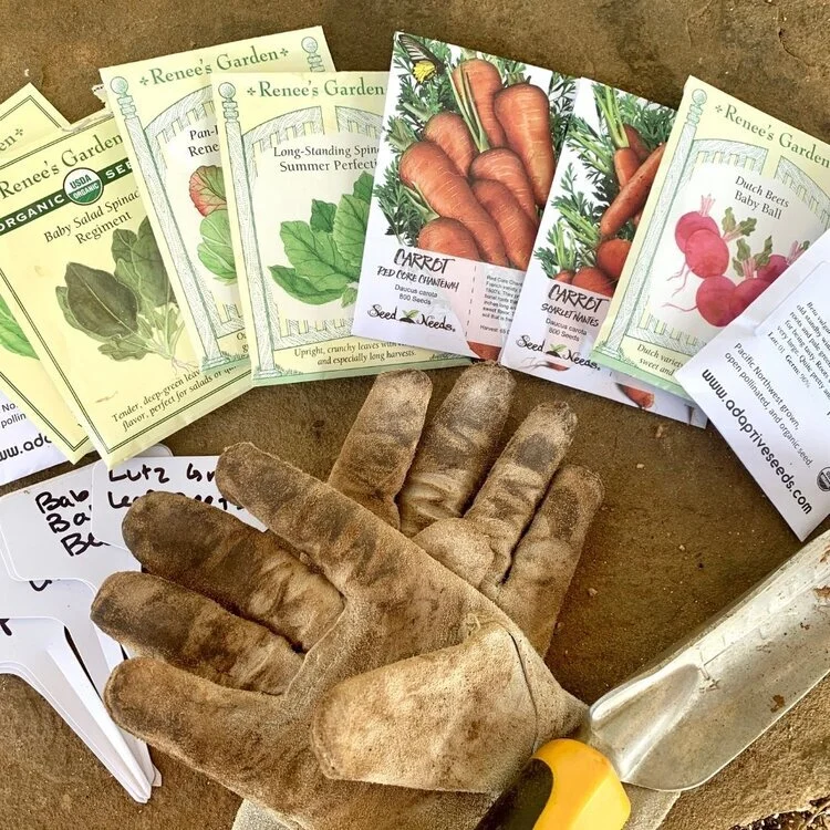 midland tx gardening