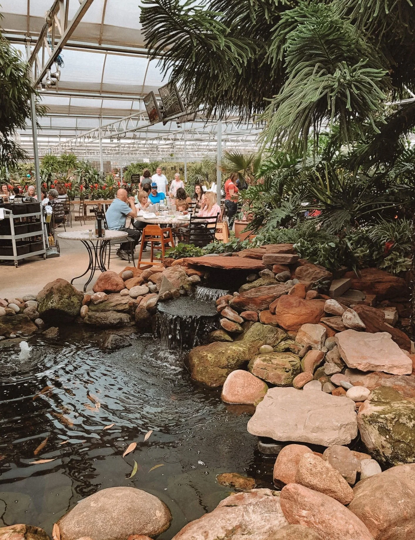 Alldredge Gardens Cafe Midland Texas Fasci Garden