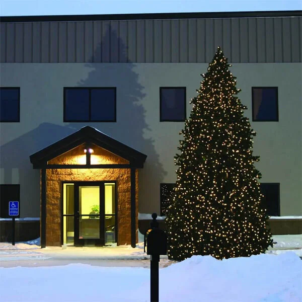 christmas tree 20 ft.jpg