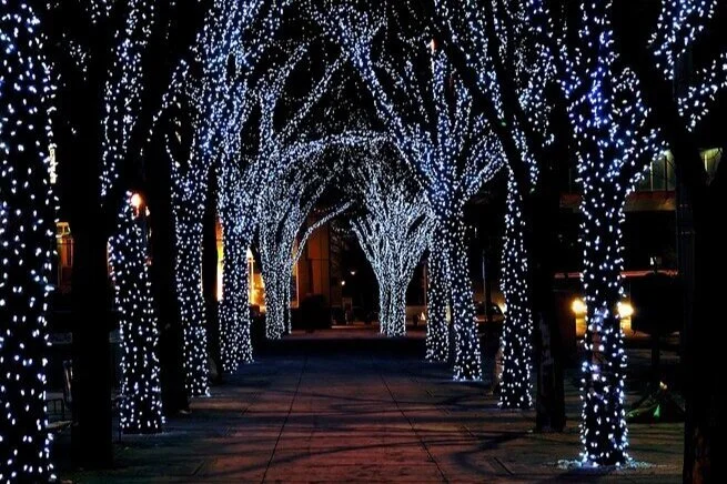 light-tree-hlnw.jpg