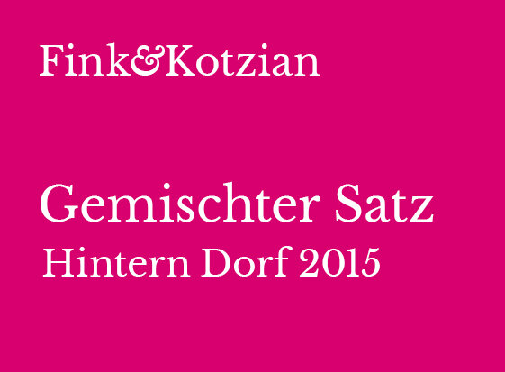 2015_Fink&Kotzian_DB+k5.jpg