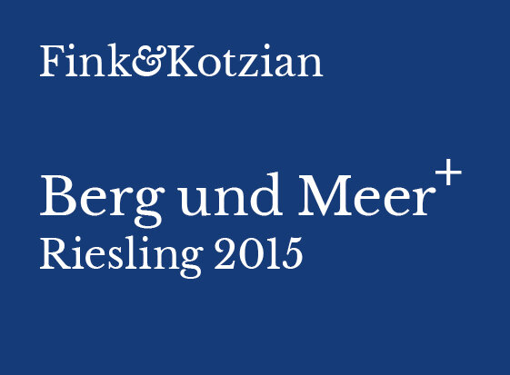 2015_Fink&Kotzian_DB+k17.jpg