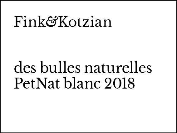 2018_Fink&Kotzian_DB_2018er3.jpg