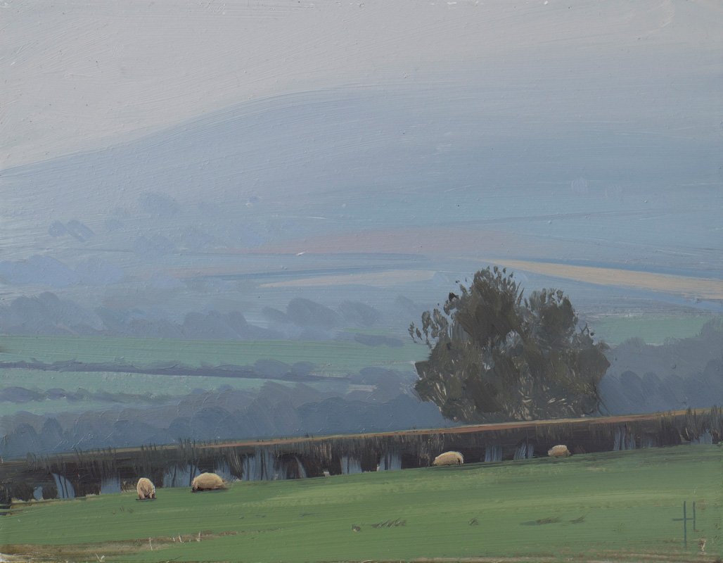 Sheep, October - 23 x 18 cm 9 x 7 - Oil on 2.5mm board