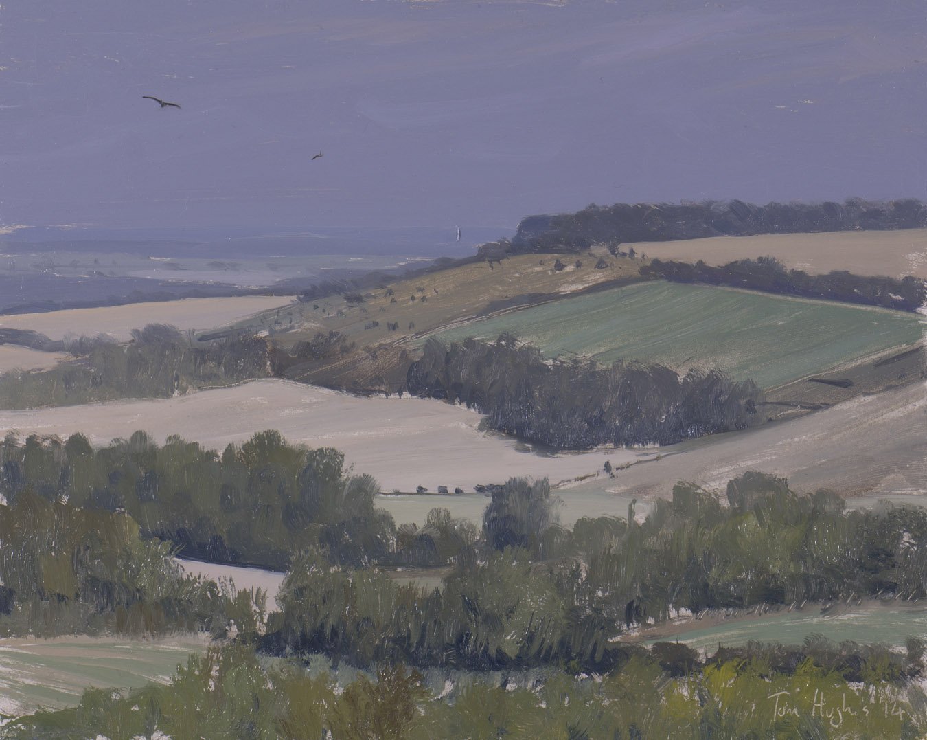 towards Botley Wood with Red Kites_2.jpg