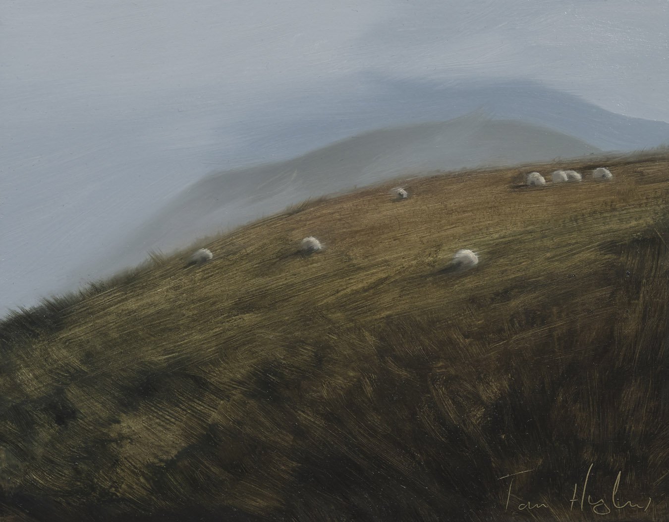Sheep in mist