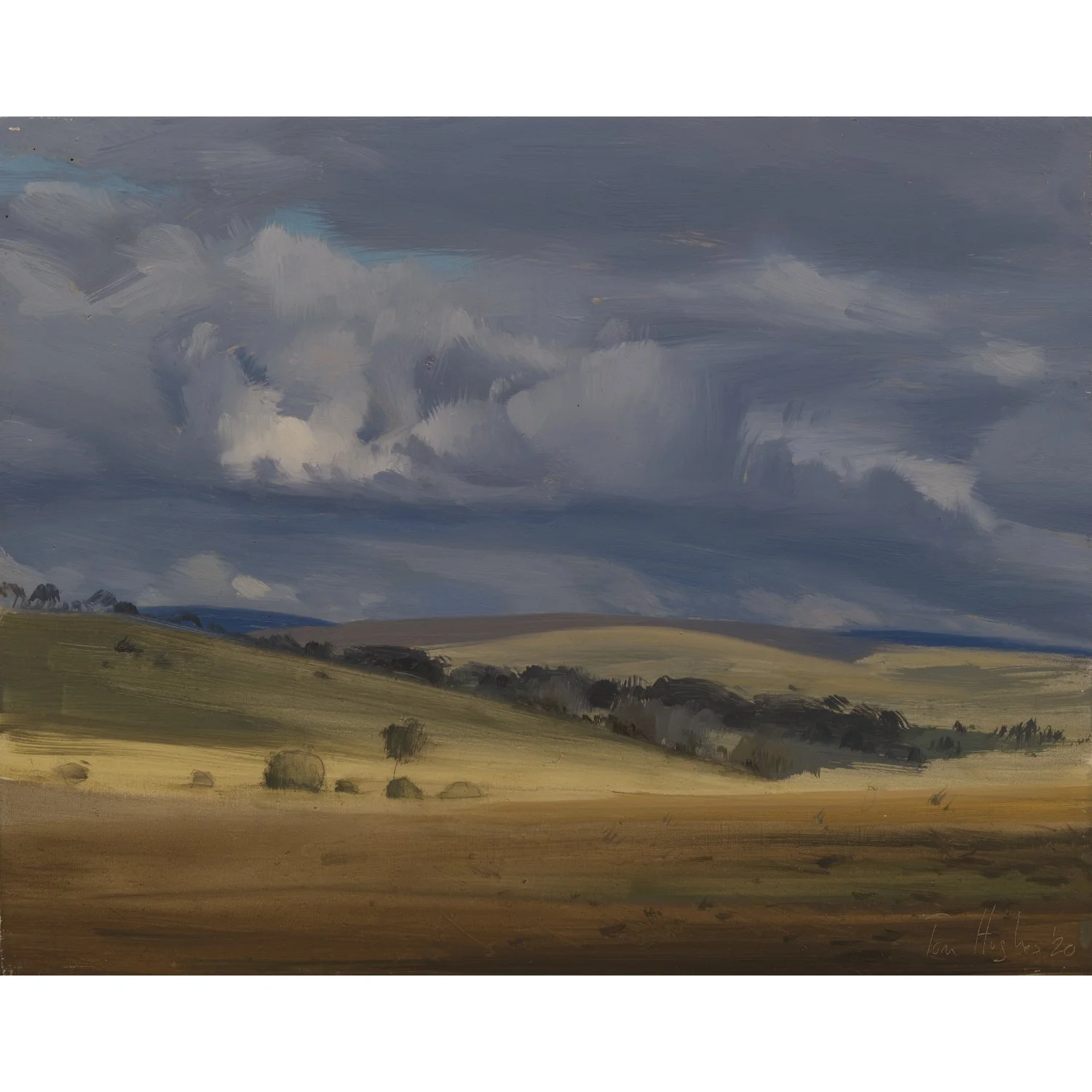Dartmoor V 1500.jpg