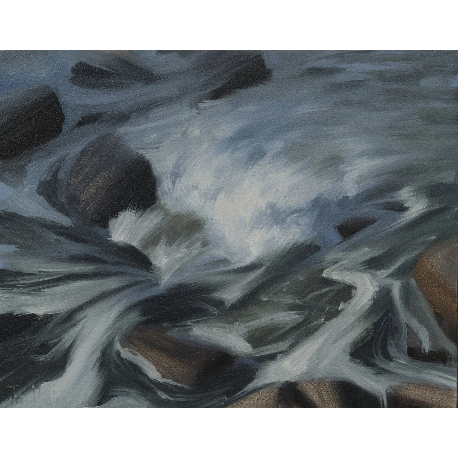 Jennifried's Cove IV.jpg