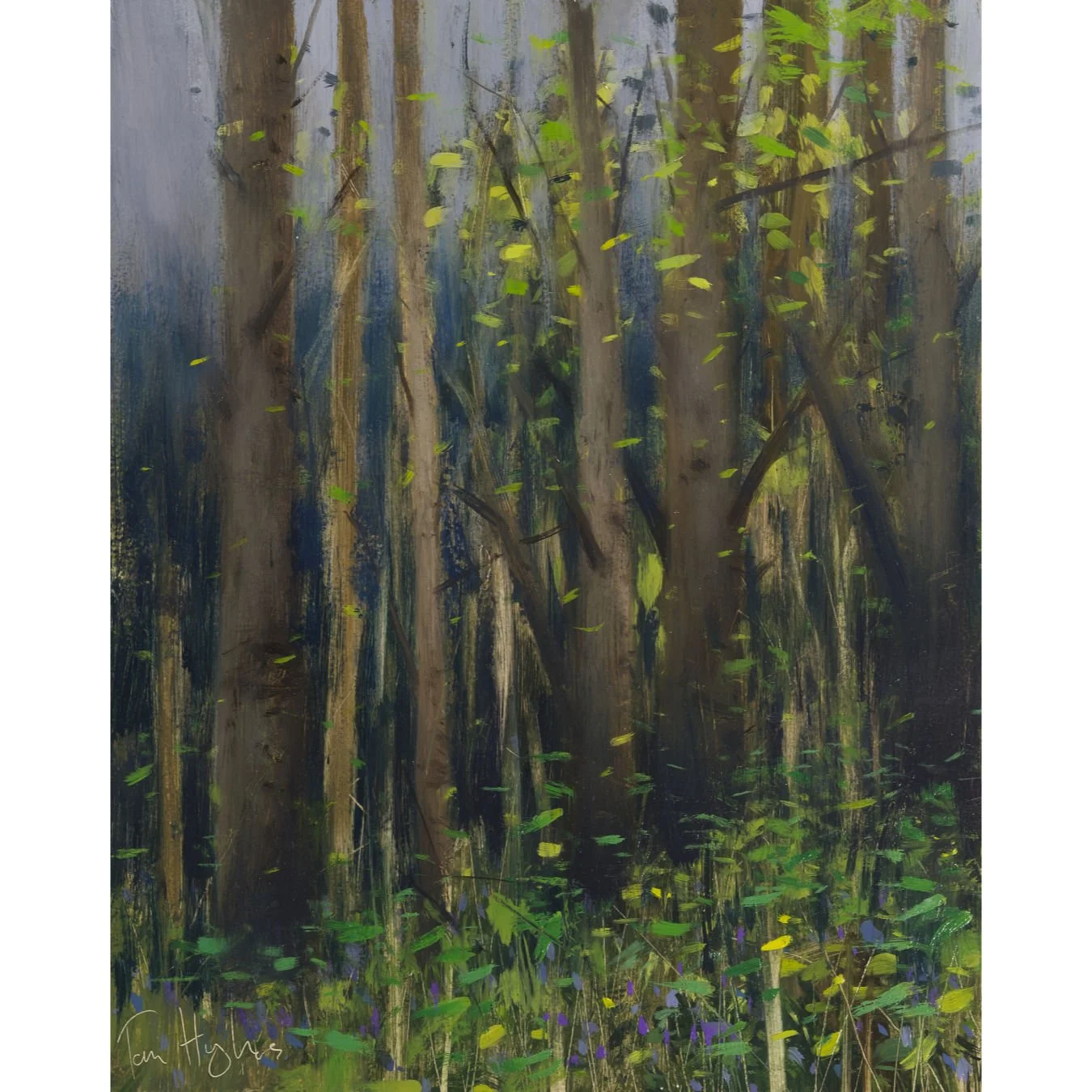 Spring mist, Leigh woods.jpg