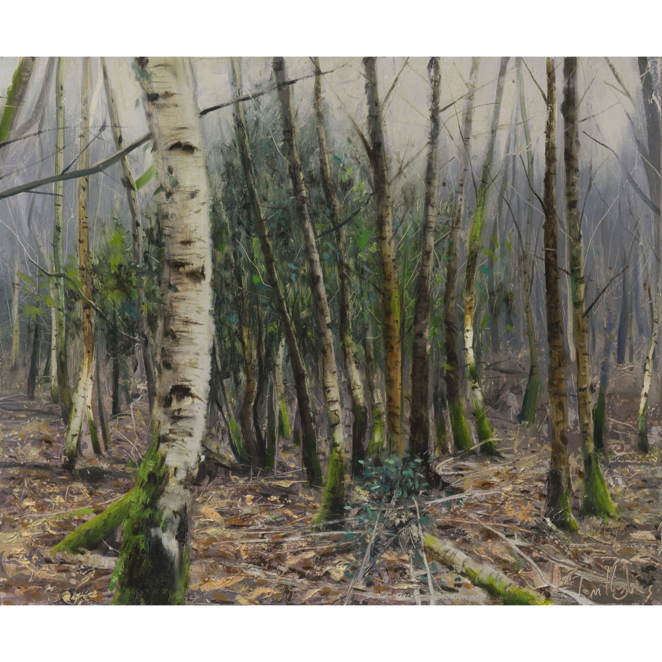 Cold morning, birch group, Forest of Dean, January_.jpg