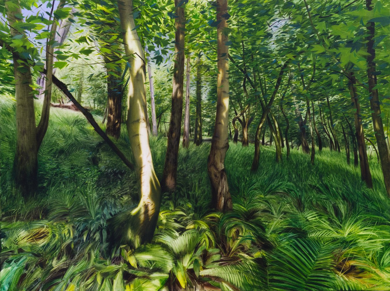 Sunlit tree with ferns and wild garlic3.jpg
