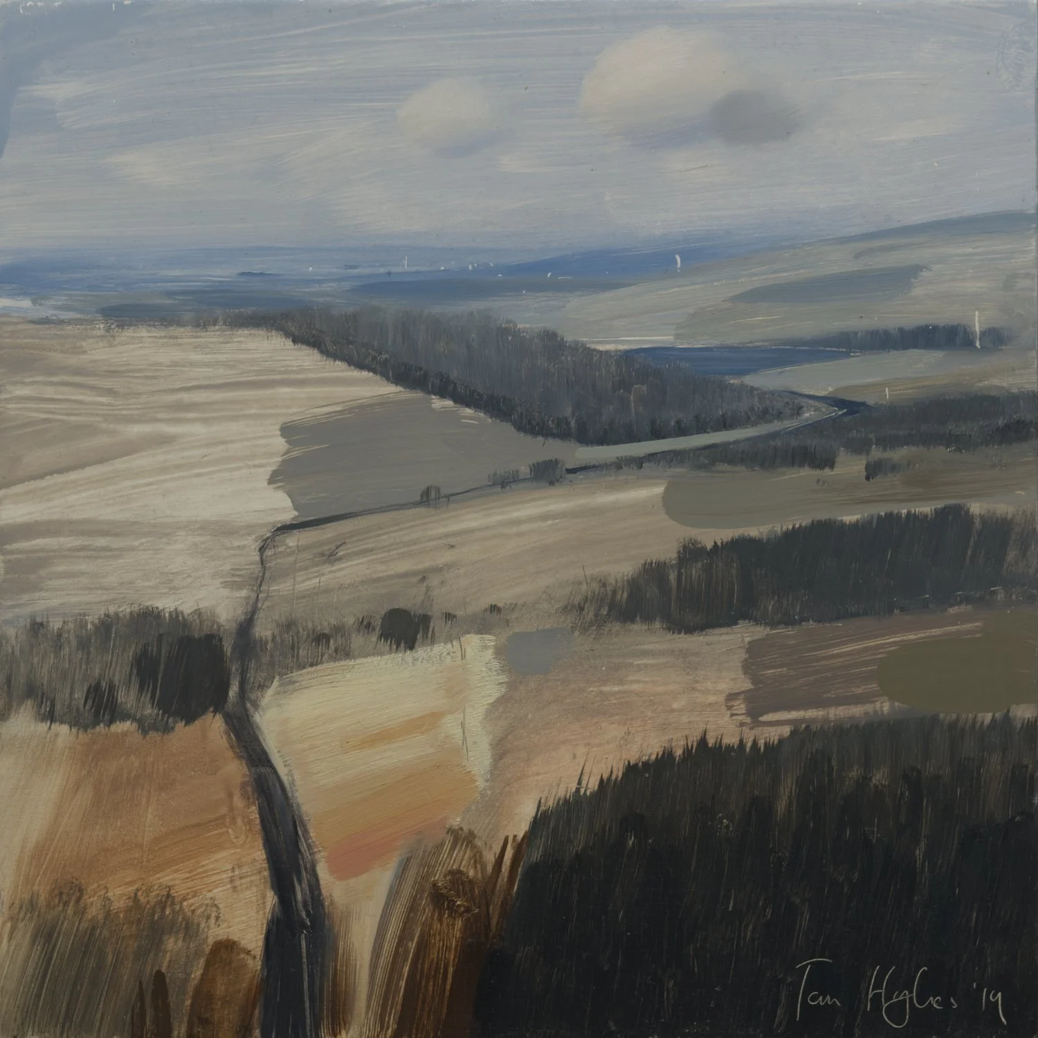 Martin's field.jpg