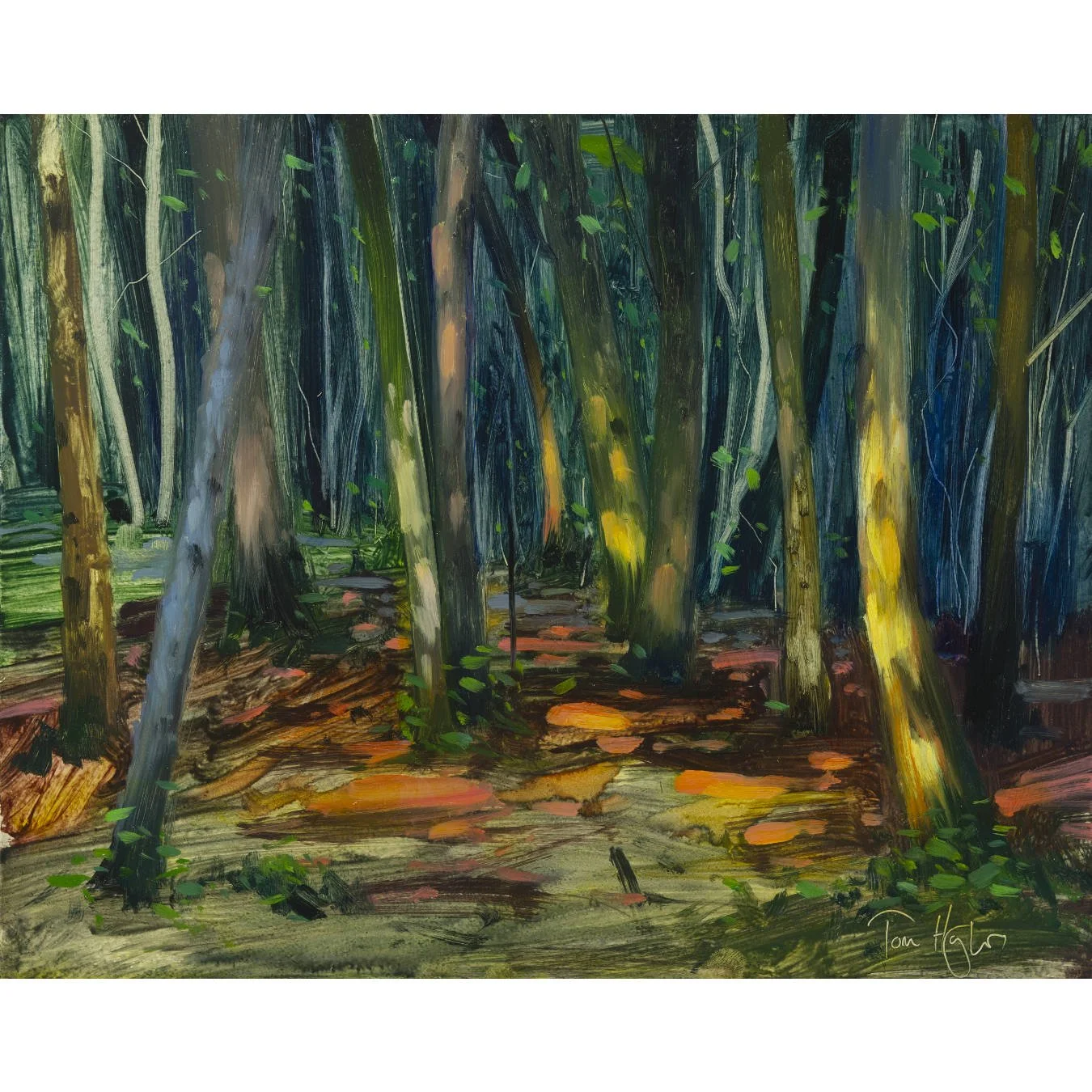 Dappled light, late afternoon, Leigh Woods.jpg