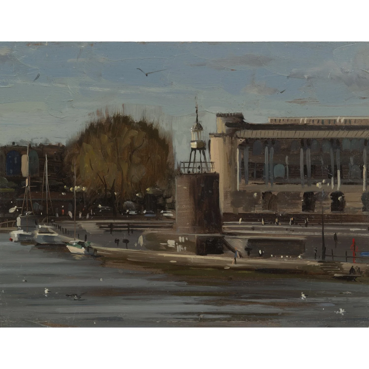 Birds in floating harbour, April.jpg