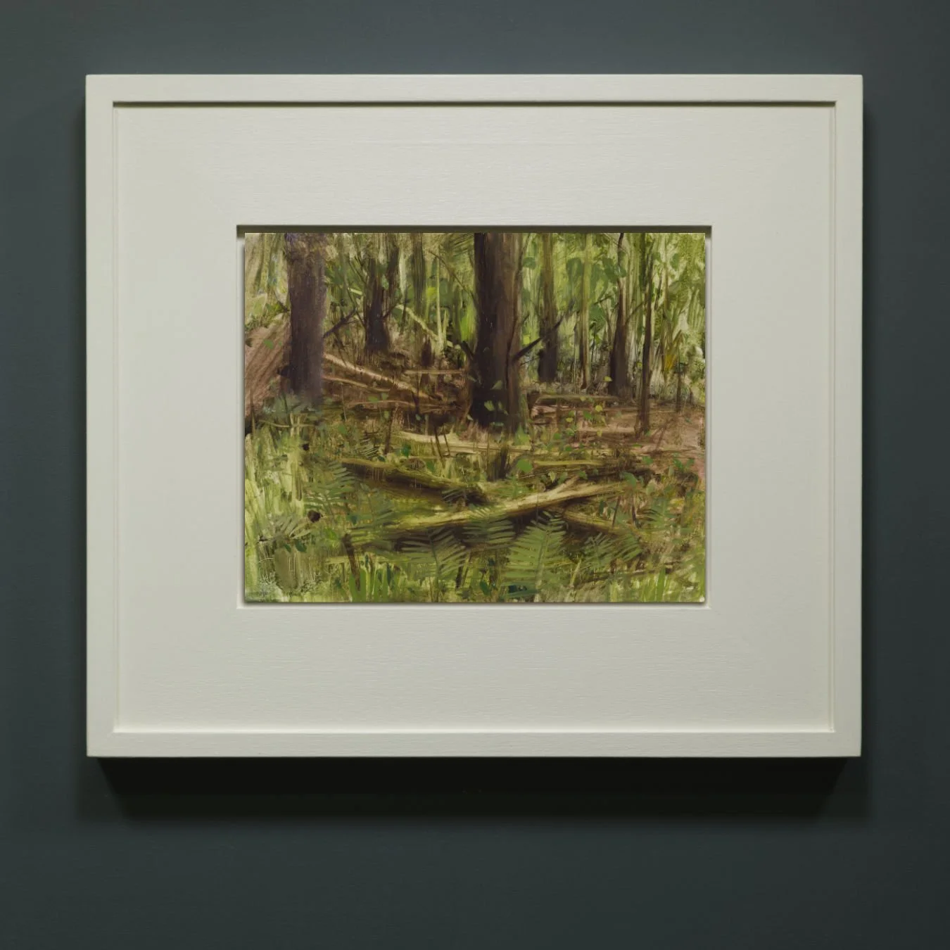 Logs and ferns, Leigh Woods