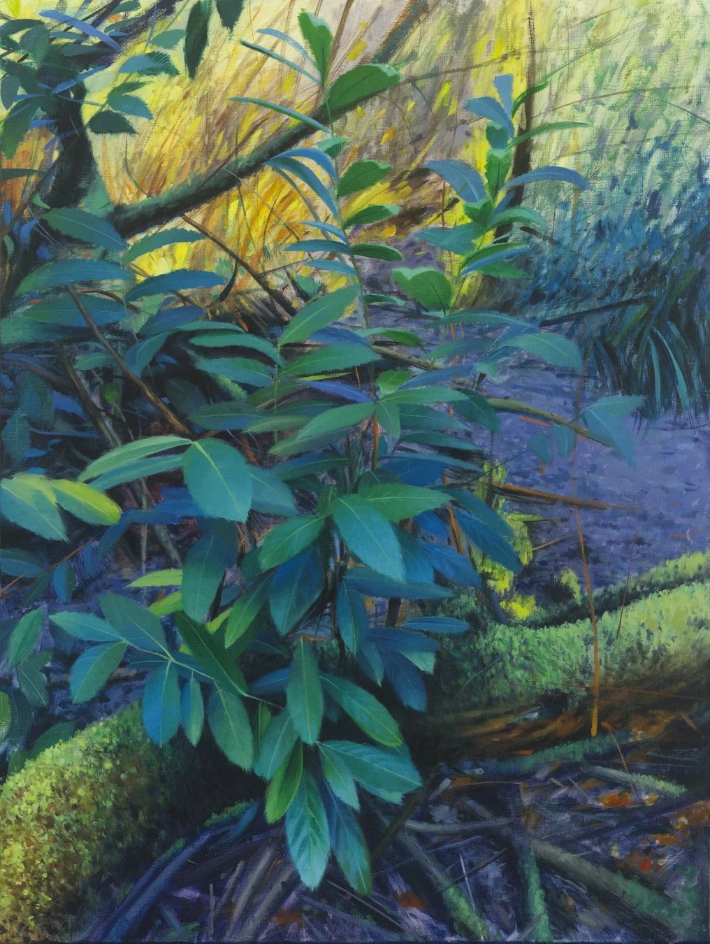 Rhododendron, Blaise Castle - 101 x 76 cm 40 x 30" - Oil on linen - AVAILABLE