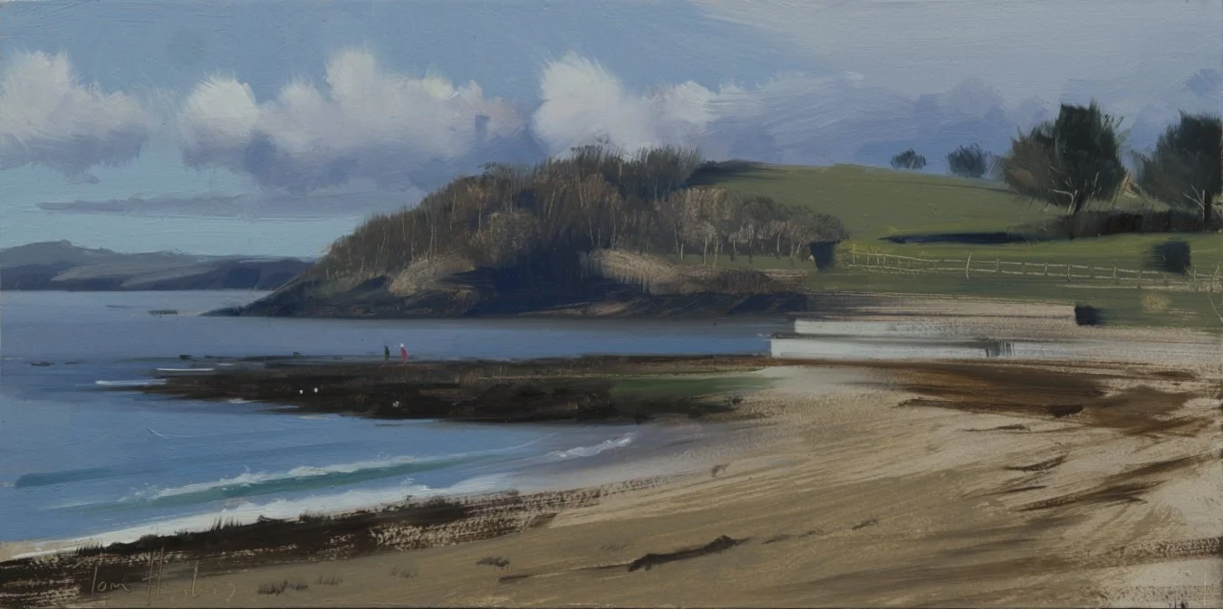 Gyllyngvase Beach, April_1350.jpg