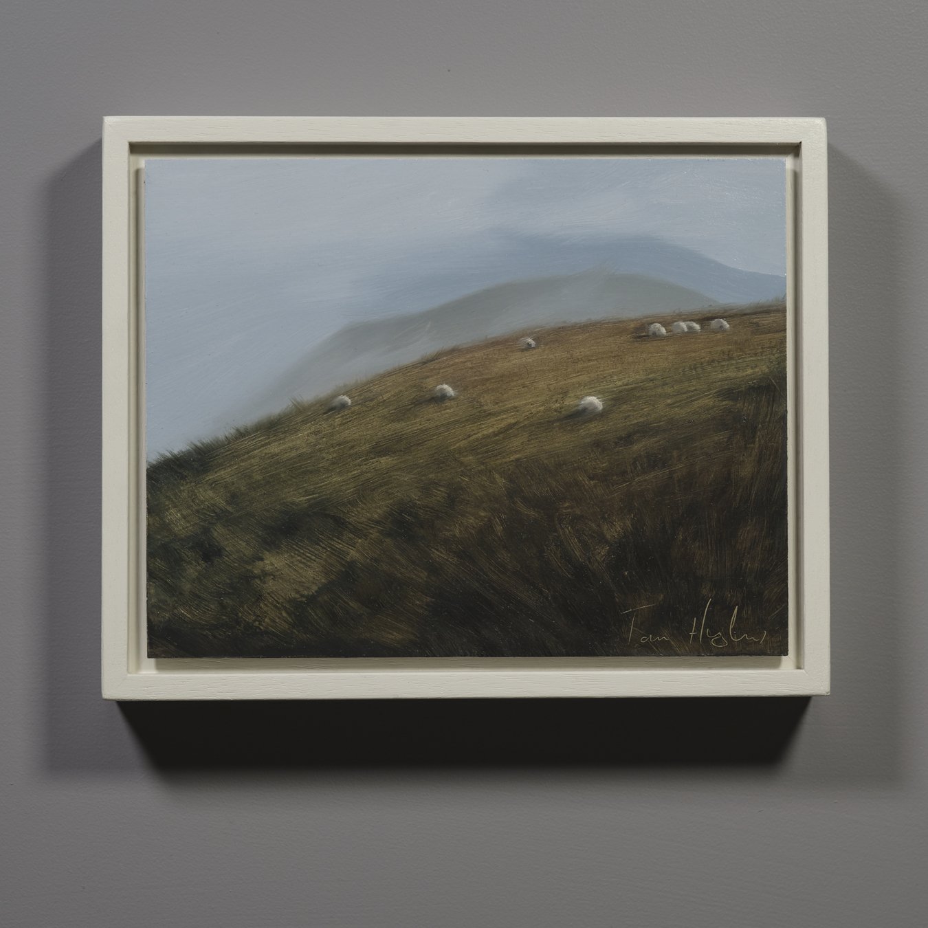 Sheep in mist (1).jpg
