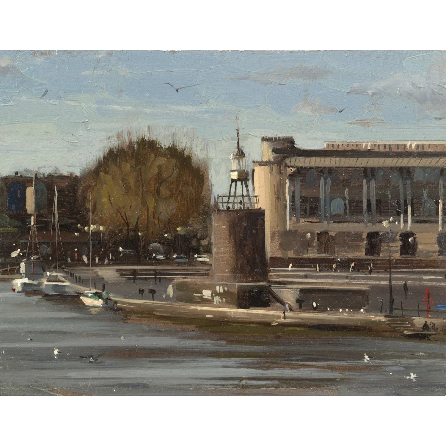 Birds in floating harbour, April.jpg