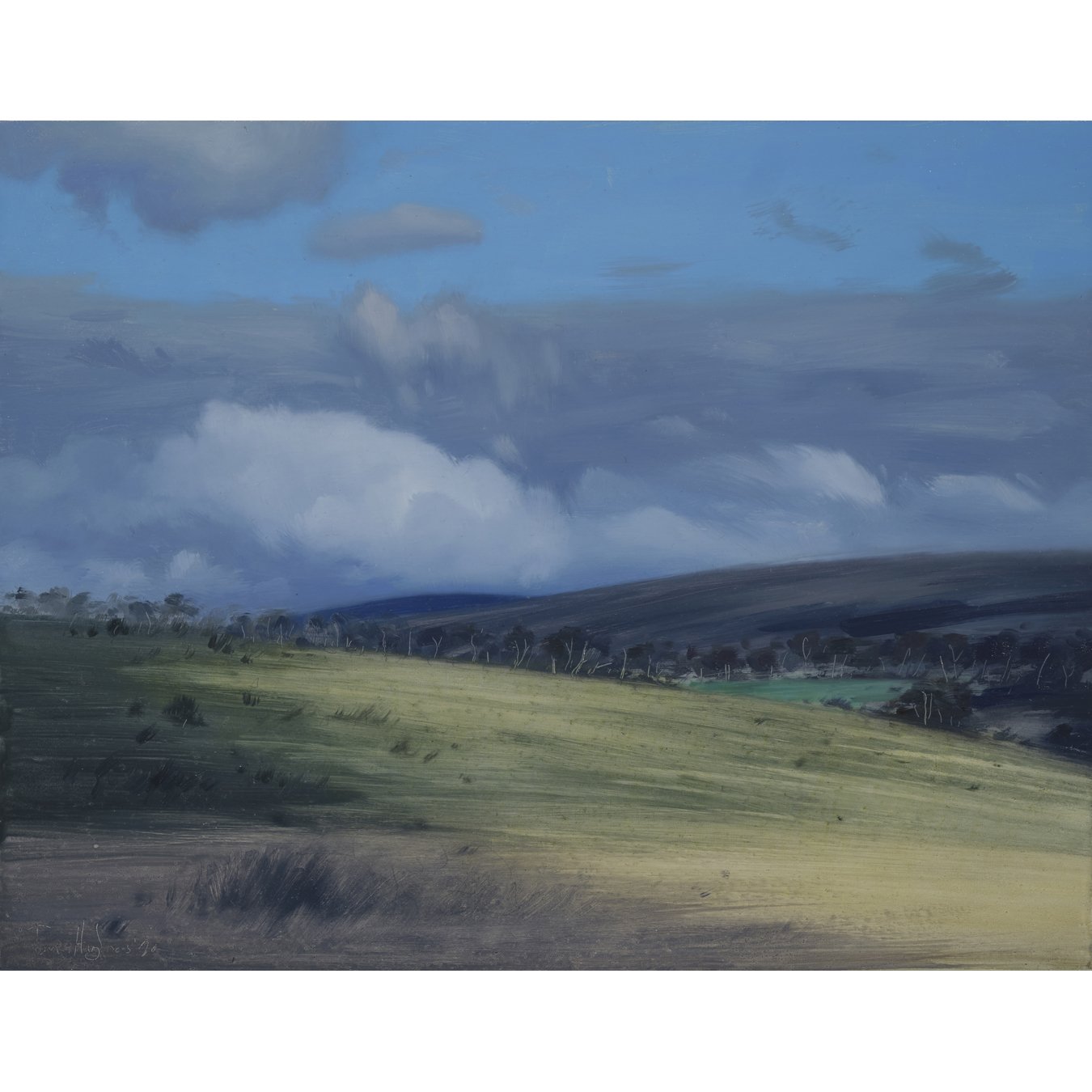 Dartmoor VIII.jpg
