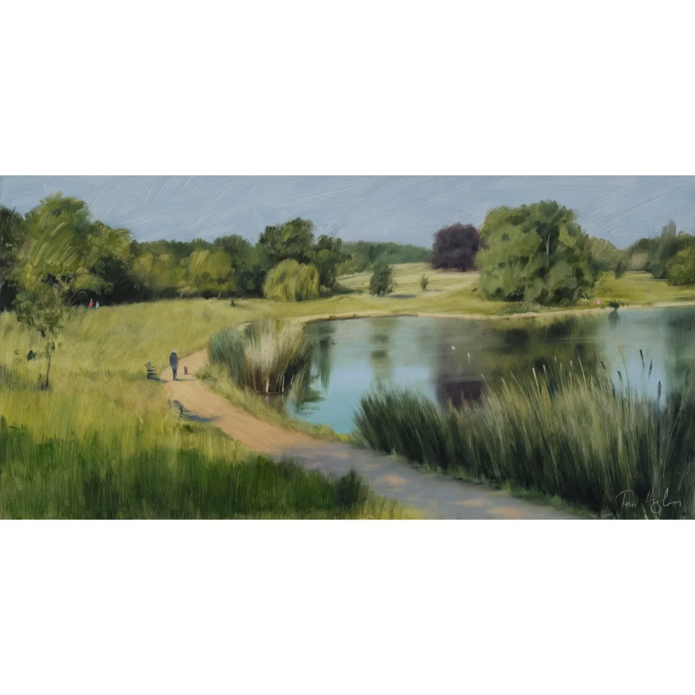 The model boating pond, Hampstead Heath, summer.jpg