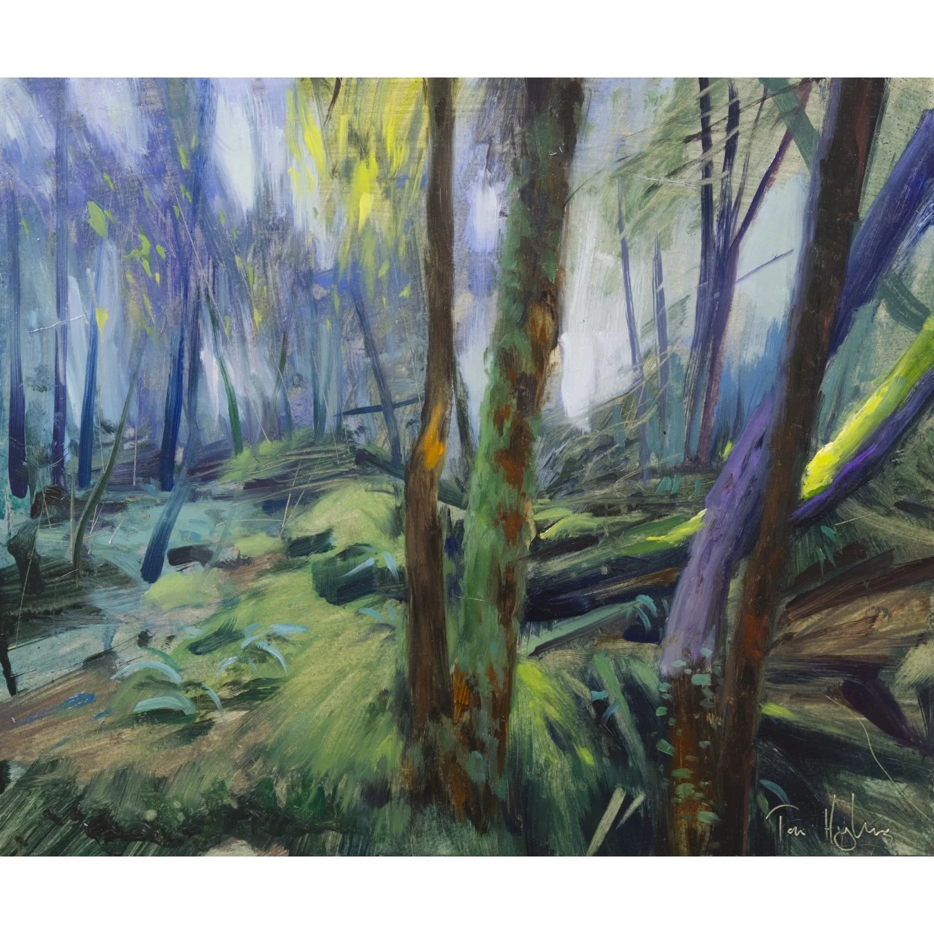 Puzzlewood, orange and purple.jpg