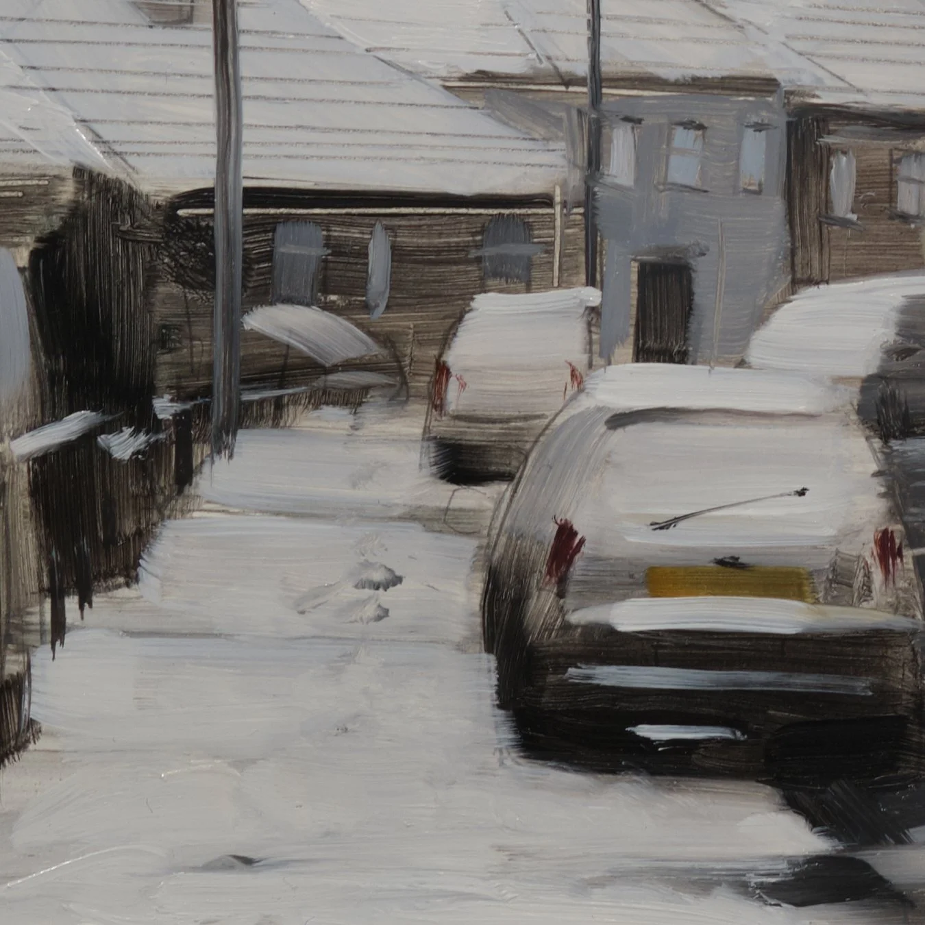 Snow-in-Fishponds_1.jpg