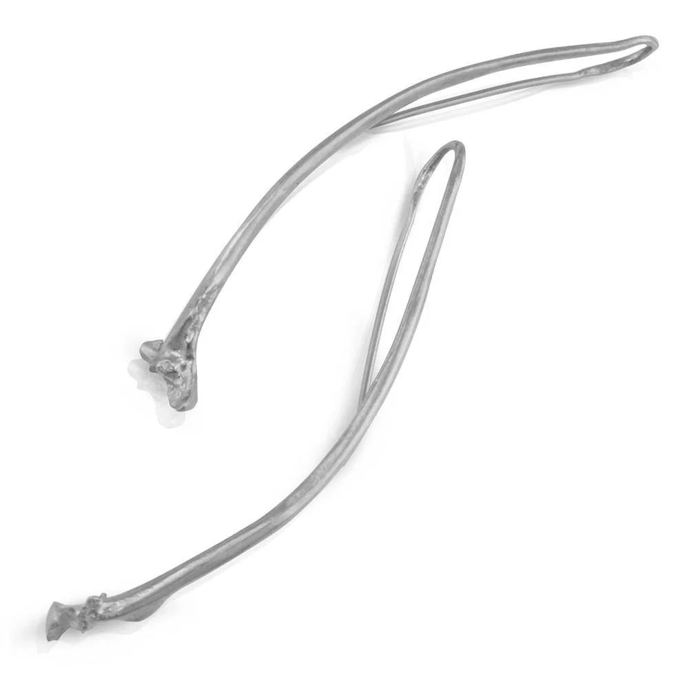 Rattlesnake Rib Earrings - Sterling Silver