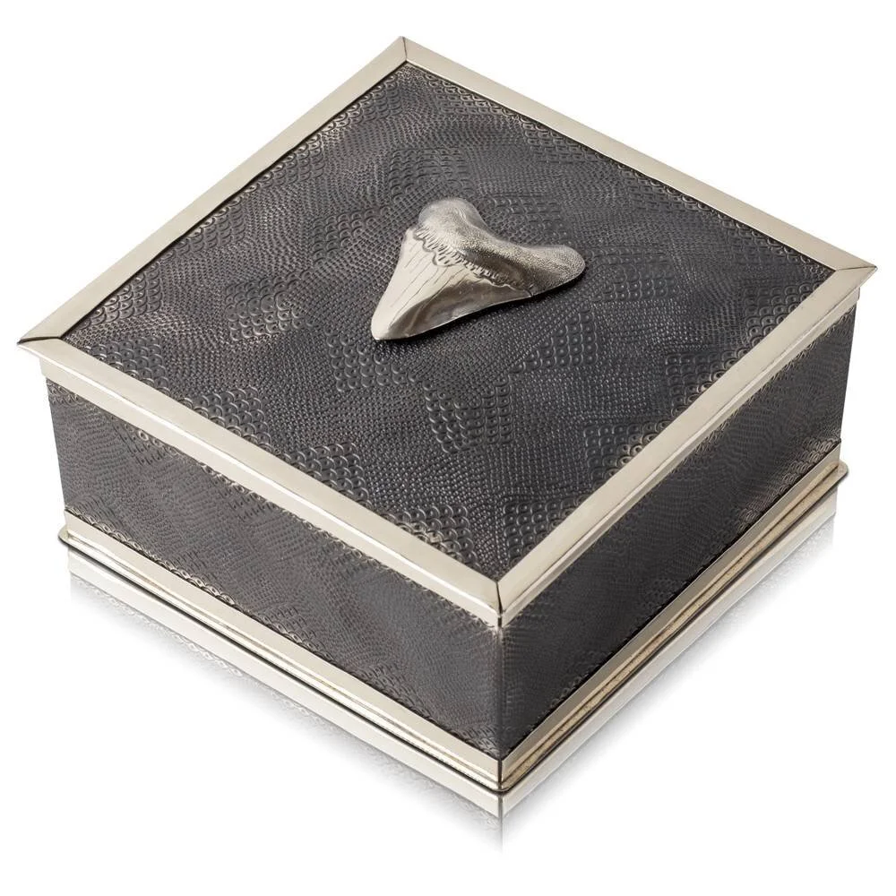 MEGALODON SHARK TOOTH BOX - ALPACA